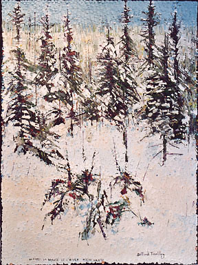 "En hiver la beaut&eacute; de l