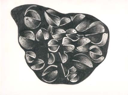 Bertrand Tremblay, Poche d'eau, dessin au crayon sur papier Reeves BFK &copy; Bertrand Tremblay